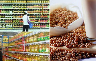 转基因食品的标识迷局 厂家为何遮掩，消费者如何识别？